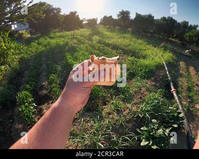 Salsa di pomodoro fatta in casa e pane spuntino turco per bambini mano dell'uomo sul giardino Foto Stock