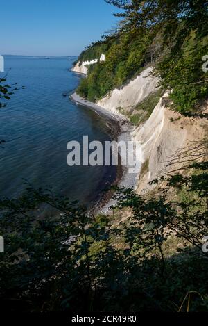 Germania, Meclemburgo-Pomerania occidentale, Sassnitz, scogliere di gesso, Wissower Klinken, Parco Nazionale di Jasmund, Sito Patrimonio dell'Umanità dell'UNESCO, Mar Baltico Foto Stock