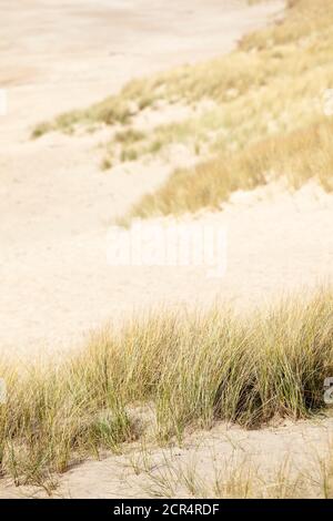 Dune paesaggio a Cap Frehel Bretagna Foto Stock