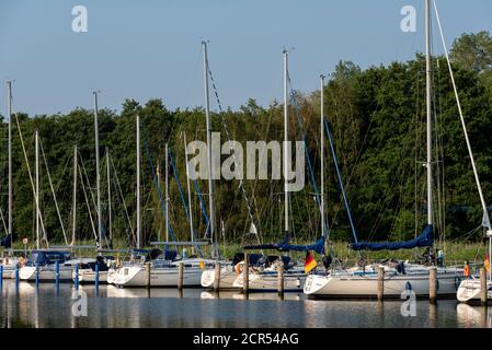 Germania, Meclemburgo-Pomerania occidentale, Ostseebad Sellin, barche a vela e yacht si trovano nel porto naturale di Seedorf, sull'isola di Ruegen. Foto Stock