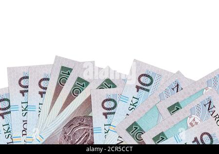 10 bollette zloty polacche si trovano sul lato inferiore dello schermo isolato su sfondo bianco con spazio per la copia. Modello di banner di background per i concetti aziendali WIT Foto Stock