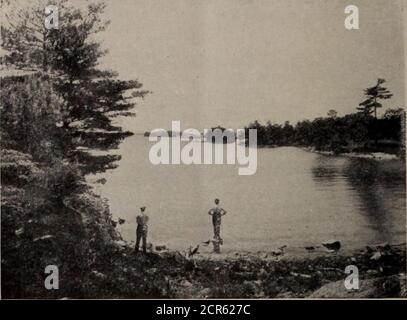 . I parchi giochi del Canada; un breve trattato sulle località turistiche, di pesca e di caccia raggiunte dal Grand Trunk Railway System . pomeriggio? OTTAWA considerata insieme ai suoi affascinanti dintorni, Ottawa è una delle capitali più belle del mondo. Il fiume OttawaRiver, che si è tuffato sulle cascate Chaudiere, si incastra e si è sweepsmajesticamente passato gli edifici del Parlamento per unirsi alla GreatSt. Lawrence sulla strada per il mare. Vicino alle rive erbose del canale Rideau, che si svuota in Ottawa tra gli edifici capitalari e l'affascinante Chateau Laurier, si trovano a chilometri di splendida auto Foto Stock