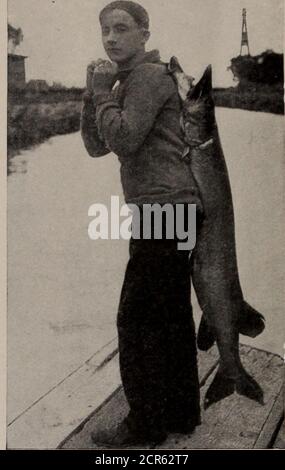 . I parchi giochi del Canada; Un breve trattato sulle località turistiche, di pesca e di caccia raggiunte dal Grand Trunk Railway System . t isherere il turista prende il vaporiere per Sturgeon Point, Bobbaygeon, Fenelon Falls, Rosedale, Coboconk e tutte le innumerevoli località e campi inter-mediati sulle spiagge ospitali di Sturgeon, Pigeon, Cameron e Balsam Lakes. Kinmount, il punto più settentrionale del distretto di Kawartha LakesDistrict, si trova a trenta miglia da Lindsay. La città è sempre più popolare ogni anno come centro turistico ed è il punto di ingresso di un certo numero di laghi affascinanti noti per i loro sceni Foto Stock