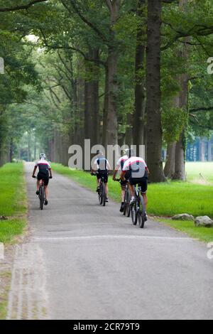 Ciclisti con le loro mountain bike in tour, Lochem, Paesi Bassi Foto Stock