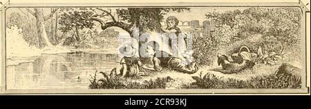 . Escursioni estive attraverso il paesaggio più pittoresco d'America. Mare, foresta, campeggio e luogo di irrigazione . MILLE ELECTROTYPES IN VENDITA. INDIRIZZO SUNSHINE SOCIETÀ DI PUBBLICAZIONE, 306 e 308 Chestnut Street, PHILADELPHIA.. SU WATKINS GLKN. Foto Stock