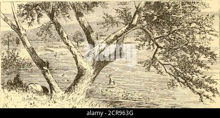 . Escursioni estive attraverso il paesaggio più pittoresco d'America. Mare, foresta, campeggio e luogo di irrigazione . SUMMER EXCURJ^IOX ROUTES.Montreal-Quebec. Escursione a Grand Champl K. X.lew York a Montreal. ESCURSIONE K. X. 13^:.New York al Québec e retun passu mCentralConncrTNew Y> ESCURSIONE K. X. 188. Siun, del. Yuil) ( 172 Foto Stock