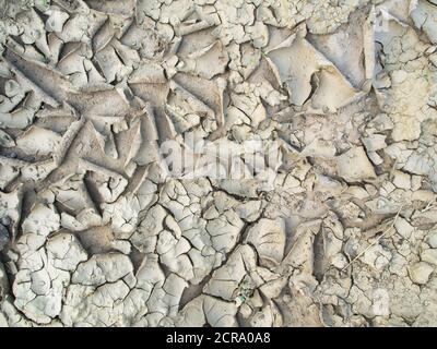 Asciugò fuori terra di creta, crepe nel terreno Foto Stock