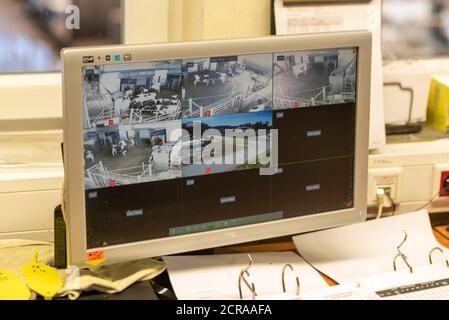 Schermo del computer in una cappottatura digitalizzata Foto Stock