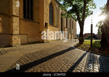 Monastero francescano nella storica città vecchia di Zeitz, Burgenlandkreis, Sassonia-Anhalt, Germania Foto Stock