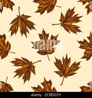 Modello senza cuciture con disegnati a mano di acero colorato Illustrazione Vettoriale