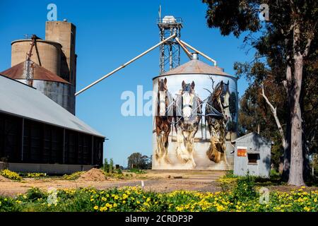 Silo Art Trail. Goorambat Australia. Il lavoro di Jimmy DVATE sui cavalli Shire nel silo di grano della città è molto popolare tra i turisti. Foto Stock