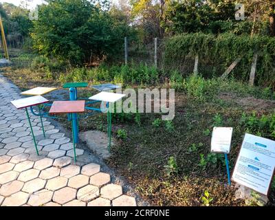 DISTRETTO KATNI, INDIA - 23 GENNAIO 2020: Un insegnante indiano di scienza che presenta il concetto di modello al parco educativo. Foto Stock