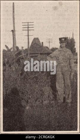 . Baltimora e Ohio dipendenti rivista . te dei suoi molti doveri come un watchmanGyp ha trovato il tempo ogni estate per mantenere un bel giardino adiacente la sua watchbox andit non è raro per ascoltare il travelingpublic complimento la sua piccola ma graziosa oasi. L'apprezzamento del lavoro del sig. Ramseys è notmeramente limitato agli uomini di Baltimora e dell'Ohio, asthe seguente lettera scritta al supervisore Fraasby il presidente della lega Civica di NorthBaltimore attesterà: La lega Civica, che rappresenta il womenof North Baltimore, suggerisca a voi MR.Charles Ramsey come un fedele, fidortista. Quando è al Th Foto Stock