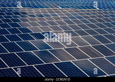 Molti pannelli solari Photovoltaik disposti come parte di un grande impianto solare Foto Stock