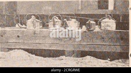 . Baltimore e Ohio dipendenti rivista. Ingthe proprietà, ma piuttosto per meritare lodeation. È evidente a tutti che il thatkeeping una ferrovia pulita è un lavoro più duro che mantenendo una fabbrica e le proprietà circostanti pulite. TheBaltimore e Ohio ha oltre 5.000 miglia di diritto di modo e longstressi di questo sono praticamente unpro-tected, e hanno da entrambi i lati le prop-erties di molte persone e preoccupazioni non •in alcun modo collegato con o in-terested nella ferrovia. Via fromconstant polizia e guardia super-visione e con la necessità di hav-ing materiali preziosi distribuiti lungo t Foto Stock