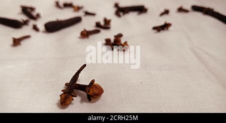 Doppio chiodo di garofano isolato di colore scuro fresco con set misto per scopi promozionali di marketing. Foto Stock