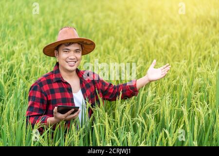 Happy Asian giovani agricoltori sta utilizzando la tavoletta di ricerca e studiando lo sviluppo delle varietà di riso nel campo . Per aumentare la produttività. AGR Foto Stock