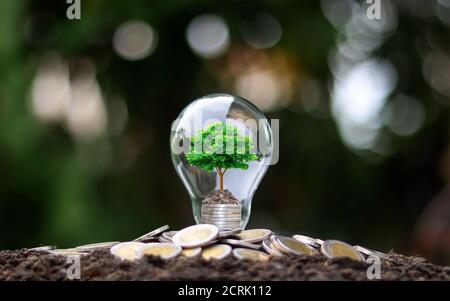 Coltivare alberi verdi in denaro in lampadine a risparmio energetico con l'idea di crescita economica e giornata mondiale dell'ambiente. Foto Stock