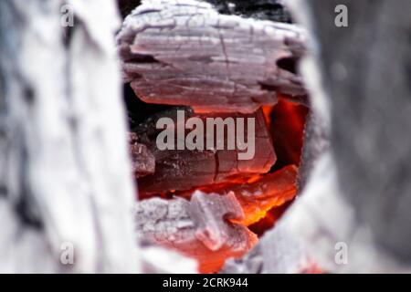 Legna da ardere in fuoco vicino alla griglia, carbone sfondo Foto Stock