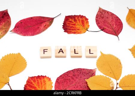 Testo DI CADUTA fatto da blocchi di legno con foglie. Sfondo autunno Foto Stock