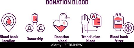 Icone delle linee colorate per la donazione di sangue. Campagna salvavalvole. Pittogrammi per Web, app mobile, promo. Elementi di progettazione UI UX. Tratto modificabile. Illustrazione Vettoriale