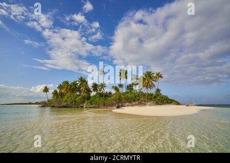 Bellissima spiaggia su un'isola deserta alle Maldive Foto Stock