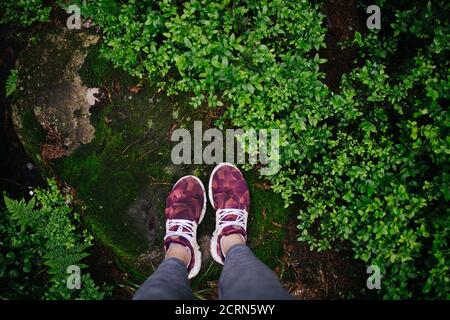 Gambe con leggings grigi e piedi in sneakers rosa la roccia con sfondo verde e foglie Foto Stock