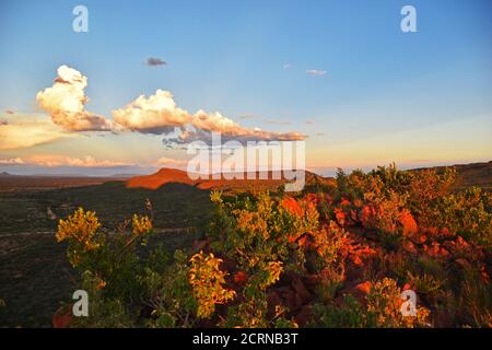 Riserva di Okinjima in Namibia Foto Stock