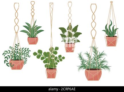 Fiori in pentole di macrame, moderno stile scandinavo, arredamento interno. Set di piante sospese. Illustrazione vettoriale Illustrazione Vettoriale