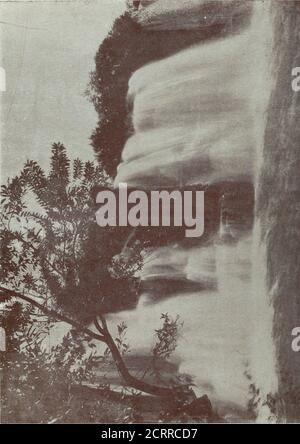 . Provincia di Natal : guida descrittiva e manuale ufficiale . l sarebbe difficile da trovare, anche nella Provincia Giardino.* Theaccommodation è eccellente e il paesaggio lascia poco a desiderare. Un ardente Transvaalangler recentemente (aprile. 1909) ha contribuito al giacimento sudafricano un breve resoconto di visita al fiume Mooi a Rosetta, che per gentile concessione di tale rivista è citato. Si lascia la stazione di Park alle 20:00 e si arriva a Rosetta alle 14:00 circa il giorno successivo. L'hotel è a due passi dalla stazione. Il proprietario si arrangierà per i vostri diritti di pesca su una distanza di alcuni t Foto Stock