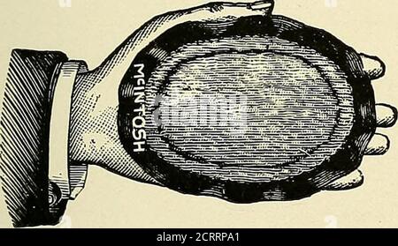 . Elettroterapeutica pratica e radioterapia : con capitoli su fototerapia, radiografia in chirurgia oculare, radiografia in odontoiatria e aspetto medico-legale dei raggi X. Foto Stock