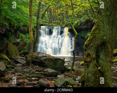 Goit stock cascata, incorniciata da alberi Foto Stock