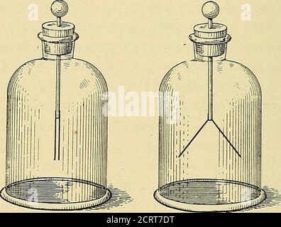 . Radio-attività : un trattato elementare dal punto di vista della teoria della disintegrazione. Composto di uranio è messo all'interno della RADIO-ATTIVITÀ 12. Vaso le foglie crollano in pochi minuti. Rendendo lo strumento piccolo l'effetto può essere sufficientemente rapido da essere seguito con l'occhio. La sensibilità dello strumento, e il tasso di cedimento in condizioni sottostimate, dipende dalla sua capacità, e questo è regolato principalmente dalla zona delle foglie e dal loro supporto che ricevono la carica. Si può notare che l'elettroscopio potrebbe ristainare la carica indefinitamente sotto vuoto, anche in t Foto Stock