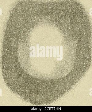 . Radioattività : un trattato elementare dal punto di vista della teoria della disintegrazione. Parte della radioattività del minerale originale. Peso per peso, i composti radiosi sono almeno amillion volte più attivi dei composti di uraniumand torio. Questo confronto numerico non trasmette affatto l'impressione delle attività relative. Un'idea più chiara è data da un esempio concreto. Se un composto di radium producesse un dato effetto, per esempio, su una piastra fotografica, in un secondo, un peso simile di uranio com-libbra richiederebbe parecchie settimane per produrre lo stesso effetto. Questo è male Foto Stock