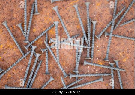 Viti autofilettanti nere sparse su un foglio di metallo arrugginito, primo piano, fuoco selettivo Foto Stock