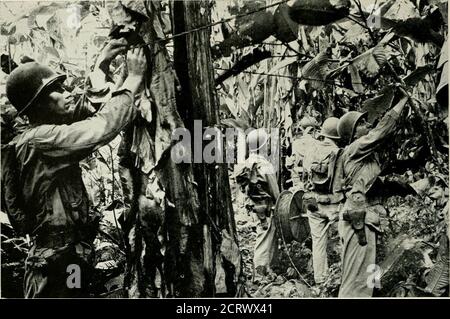 . Rivista Bell Telephone . Army Group Headquarters I. il filo telefonico deve penetrare fitte giungle tropiche, come qui su Bougain ille, dove i momenti hanno bisogno di treverve come poli telefonici Foto Stock