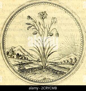 . Joachimi Camerarii Symbolorvm et emblematvm centvriæ tres. I. ex herbis e stirpibus. II. Ex animalibus quadrupedibus. III. Ex volatibus & insettis. Accessit noviter centvria IV. Ex aquatilibus e rettilibus. CVM figvris æneis . ejrfimi/Up/ura. DIA- DIARII omnes!. Extremumjtatuas vt quamlibet ejfi dierum, Ftda tibi momtrix Eemalla erit. b 2 OB/ei er- Foto Stock