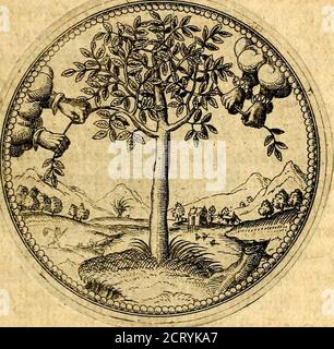 . Joachimi Camerarii Symbolorvm et emblematvm centvriæ tres. I. ex herbis e stirpibus. II. Ex animalibus quadrupedibus. III. Ex volatibus & insettis. Accessit noviter centvria IV. Ex aquatilibus e rettilibus. CVM figvris æneis . iUum Jacile eme-dabit,quiplacide & lenitretrAtlaverit. OBSE-XXI. OBSEQUIO, N o■■ N V L n. frangercvimavk3quampent}fietfereramum?est traJare homines molliter artis opw. * 3 Paulus Foto Stock