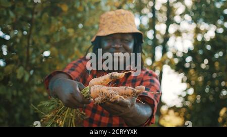 Agricoltore africano soddisfatto che mostra carote arancioni raccolte di fresco . Foto di alta qualità Foto Stock