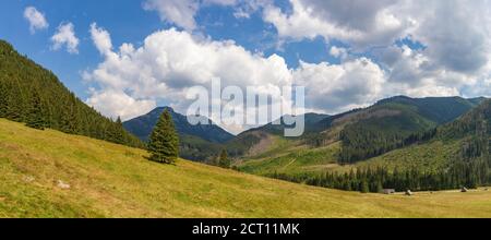 Una foto panoramica della Valle del Chochołowska (Parco Nazionale di Tatra). Foto Stock