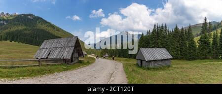 Una foto panoramica delle capanne in legno della Valle di Chochołowska (Parco Nazionale di Tatra). Foto Stock