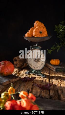 Autunno ancora vita con raccolta di zucche d'arancia pesata su vecchie squame d'annata sporca su vecchia superficie in legno naturale testurizzato. Messa a fuoco selettiva. Scuro b Foto Stock
