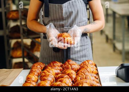 Lavoratore mettendo croissant dorati e croccanti appena sfornati su un vassoio per raffreddare Foto Stock