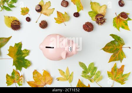 Ciao novembre. Appartamento autunno posato con foglie, castagne e piggy bank su sfondo bianco. Foto Stock