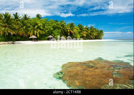 Splendido paradiso tropicale alle Maldive con palme da cocco appese sulla spiaggia bianca e il mare turchese. La barriera corallina è visibile sott'acqua. Foto Stock