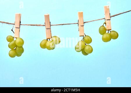 I grappoli di uva sono appesi ai chiodi di garofano. Foto Stock