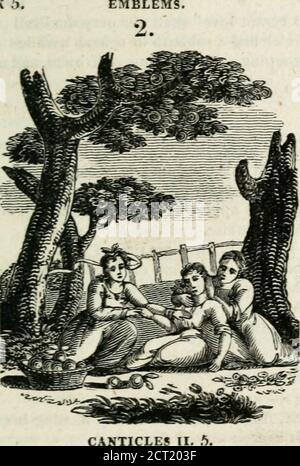 . Emblemi, divine e morali. Mare felice lacrima, stretta harbring nel suo occhio.Then sollecitare la sua fede, i voti sacri. Che né posso rompere, né nega;bewail il tormento del suo coniuge leale, che per il suo bene avrebbe fatto uno sport a morire:o vergini benedetti, come la mia passione tiresBeneath il peso dei suoi desideri affettuosi!Heavn non ha mai sparato tali fiamme, la terra non ha mai sentito suchfuochi! 260 EMBLEMI. LIBRO 5. S. AvGvsT. Med. Cap. XKQual devo dire? Cosa devo fare? dove va la frusta1? Dove dovrò cercare, lui? O quando lo findhim? Chi dovrei chiedere ? Chi dirà al mio credente che sono malato di amore? Gul Foto Stock