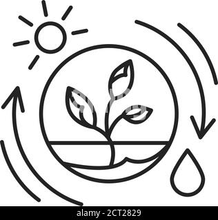 Icona della linea nera della fotosintesi competente. Il processo mediante il quale le piante verdi e alcuni altri organismi trasformano l'energia luminosa in energia chimica Illustrazione Vettoriale