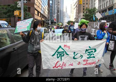 New York, Stati Uniti. 20 Settembre 2020. (NUOVO) protesta pacifica per il cambiamento climatico a New York . 20 settembre 2020, New York, USA : una protesta pacifica del cambiamento climatico che riunisce Black Lives materia e attivisti del clima che chiedono giustizia climatica, giustizia razziale, uguaglianza e lotta contro la brutalità della polizia e l'ingiustizia sociale. Chiedono di definanziare Bolsonaro, la polizia di NYPD, boicottare la carne di manzo brasiliana e attirare l'attenzione sul fuoco in Amazzonia e Pantanal del Brasile e negli Stati Uniti. Credit: ZUMA Press, Inc./Alamy Live News Foto Stock