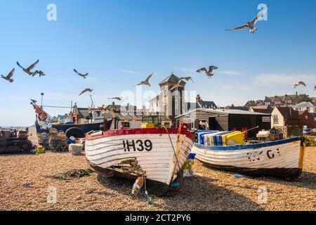 Aldeburgh, Suffolk, Inghilterra, Regno Unito. Gabbiani che sorvolano le barche sulla spiaggia. Il punto di osservazione sud sullo sfondo. Foto Stock